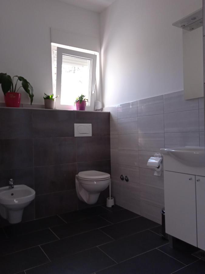 Seoski Turizam Stari Mlin Na Korani Room 2 카를로바츠 외부 사진
